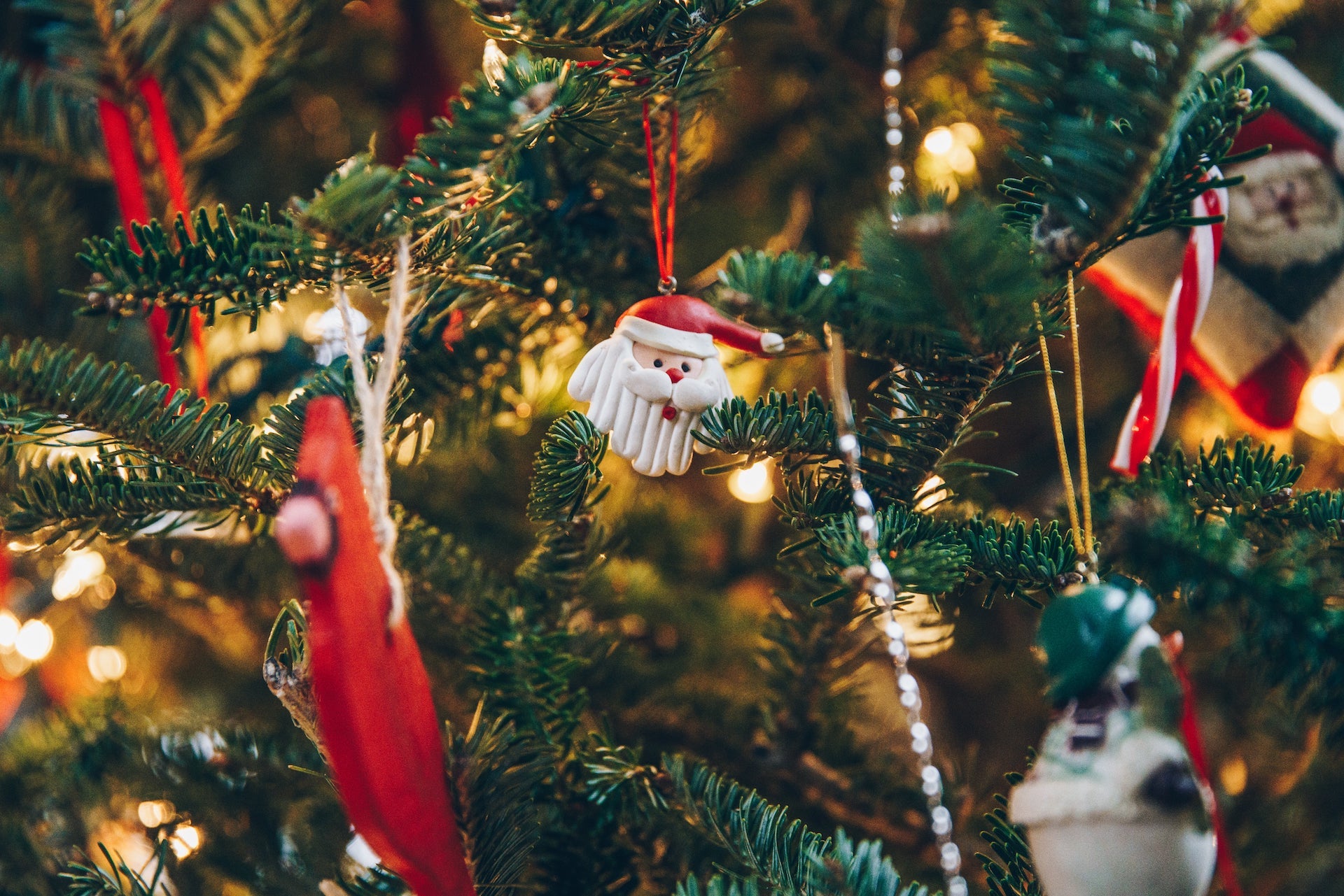 Ein geschmückter Christbaum mit Lichterkette und Ornamenten. Credit an Shopify Burst.