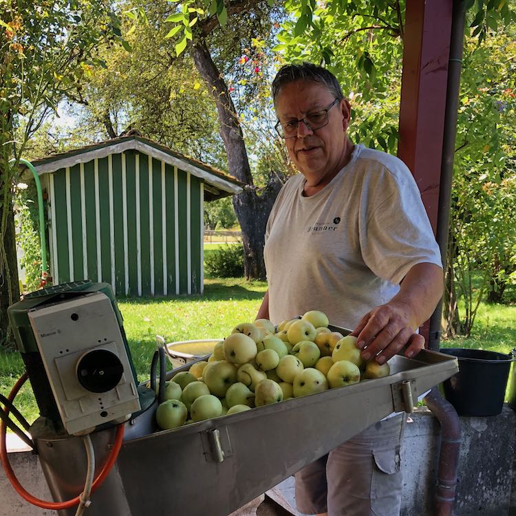 Egon Brunner beim Einmaischen von Äpfeln vor der Mühle nachdem er alle Äpfel einzeln und von Hand gewaschen hat.