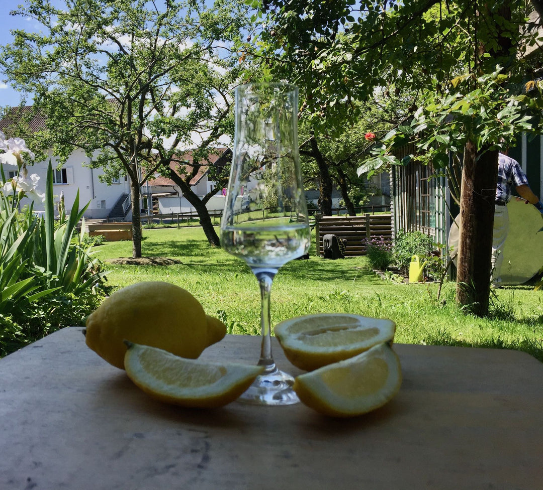 Ein Verkostungsglas mit frischen Bio-Zitronenbrand der Destillerie Brunner, umgeben von frisch aufgeschnittenen Bio-Zitronen im Sommer.