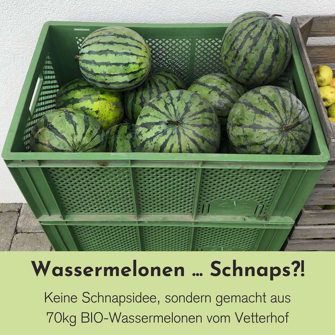 🍉 Wassermelonenschnaps - ernsthaft?