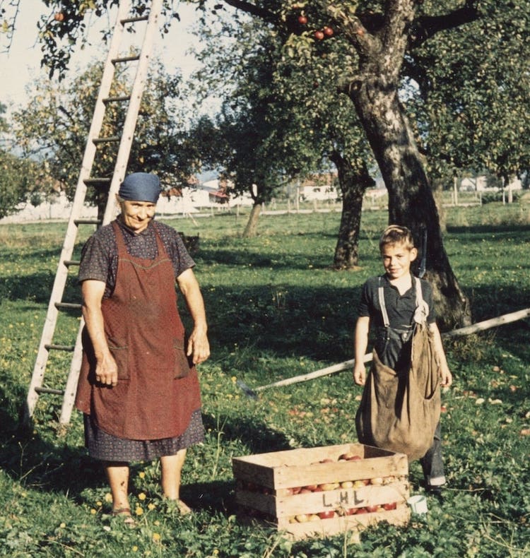 Egon Brunner war schon als junger Bub Erntehelfer. Er steht hinter einer Holzkiste voll mit frisch gepflückten Äpfeln in einer großen Streuobstbaumwiese.